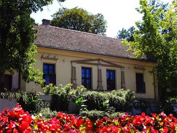 Kuća Vojnović, Inđija