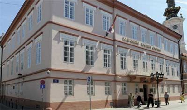 Srpska akademija nauka i umetnosti, Novi Sad