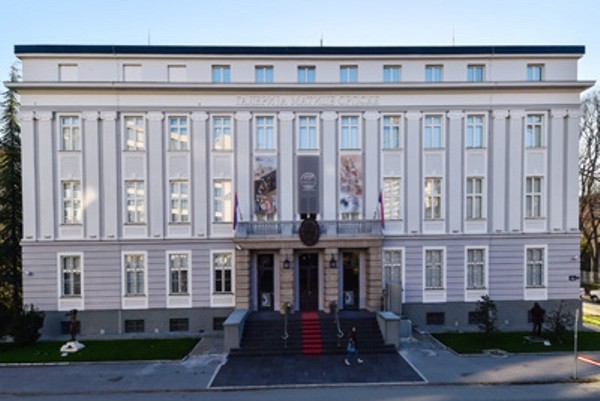 Galerija Matice srpske. Studija slučaj(n)a