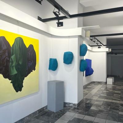 Galerija Laza Kostic 5