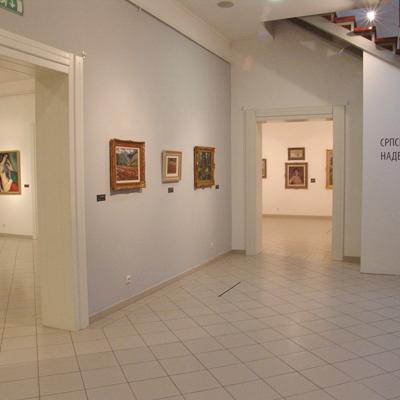Umetnička Galerija Nadežda Petrović 1