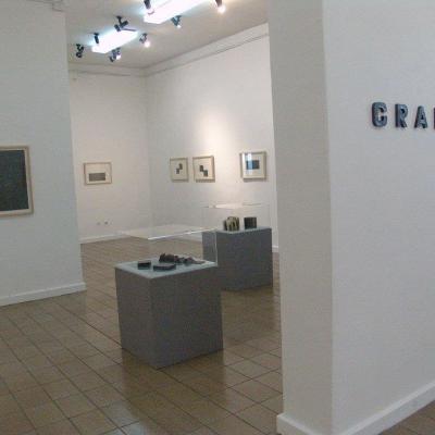 Umetnička Galerija Nadežda Petrović 9