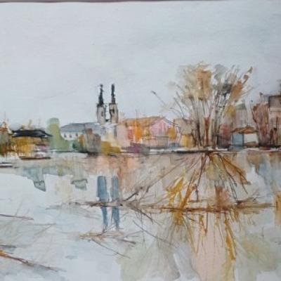 Badnjevac Ristic Jelena