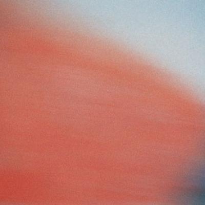 Aleksandar Pedovic10