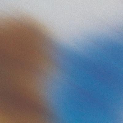 Aleksandar Pedovic14