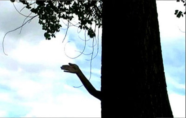 Festival Trenuci videa