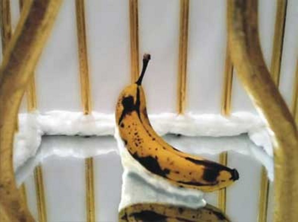 Festival Trenuci videa