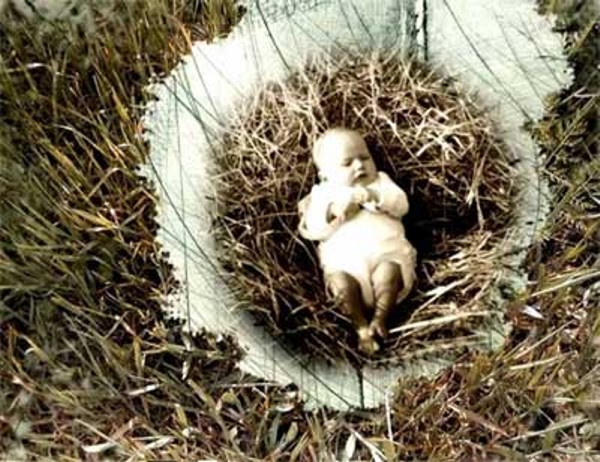 Lutajuća veb televizija