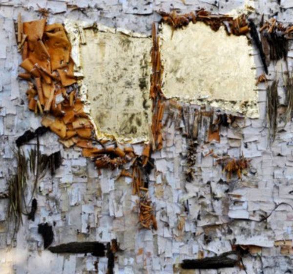 Marija Jevtić Dajić