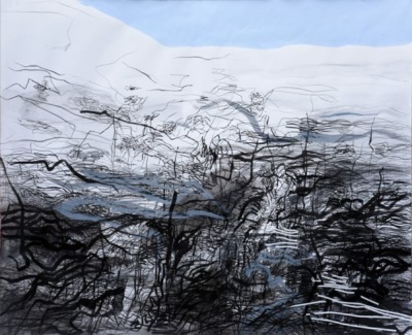 Jelena Šalinić Terzić