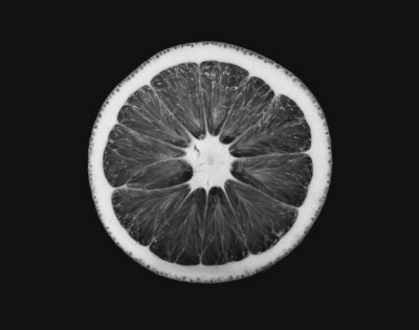 Danja Tekić, Milan Kulić, Vaštag Vendel