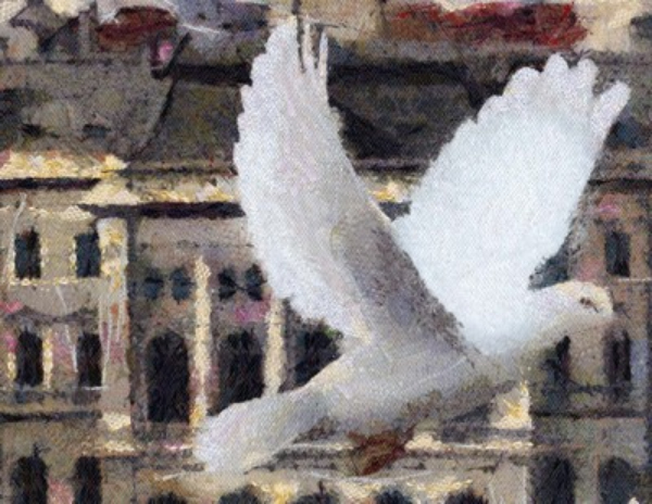 Branislav Radošević