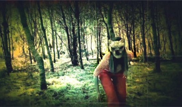 Video festival Traverze