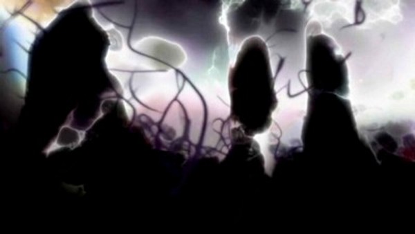 Harvi Goldmen i Džing Vang