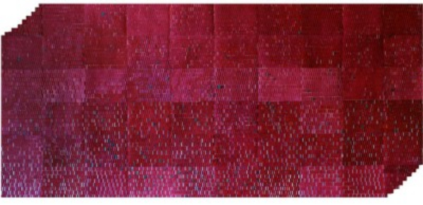 Nikola Radosavljević