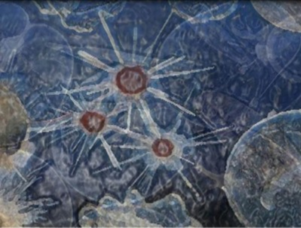 Sonja Bojanić - Mikro