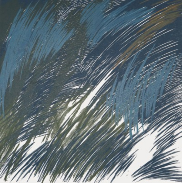 Alfredo Bartolomeoli