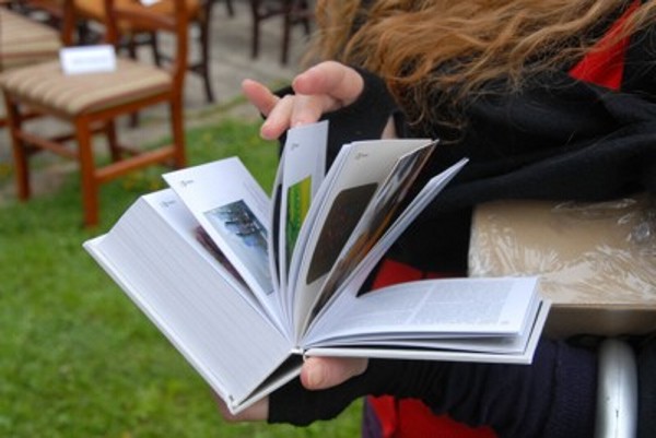 Bijenale minijature Gornji Milanovac