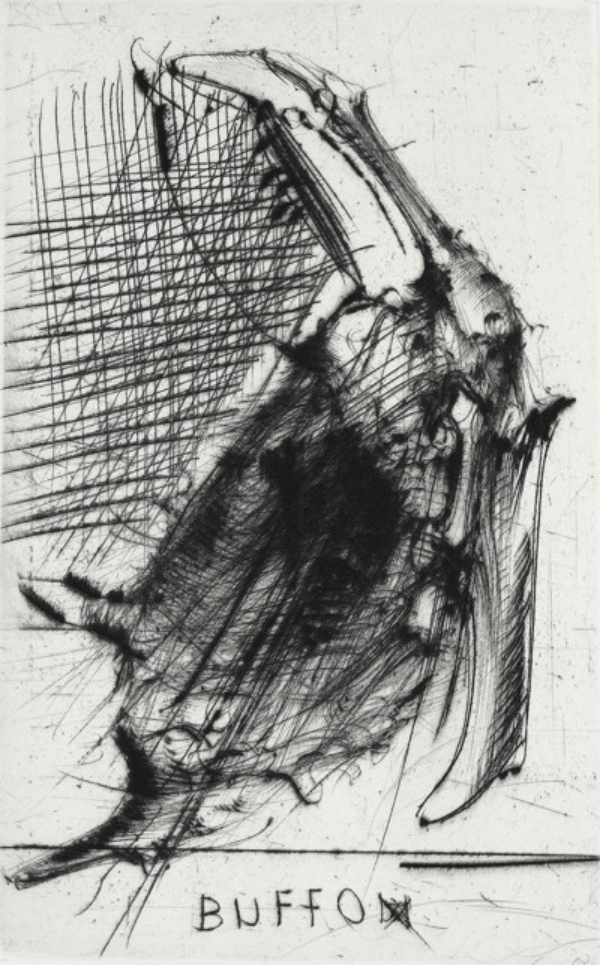 Miodrag Dado Đurić