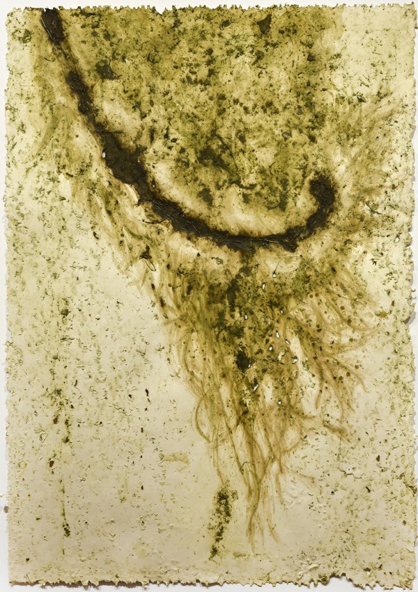 Dragiša Marinković