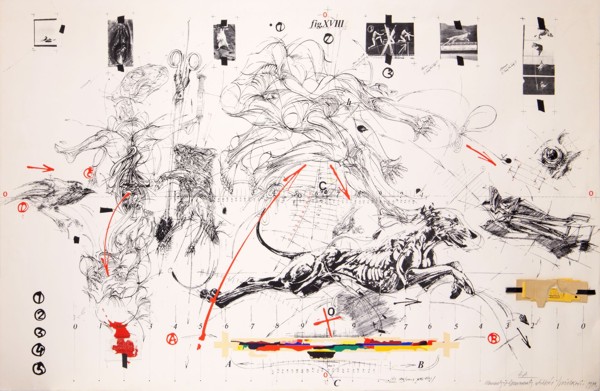 Vladimir Veličković