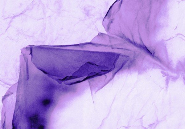 Dragana Dražović Ilić